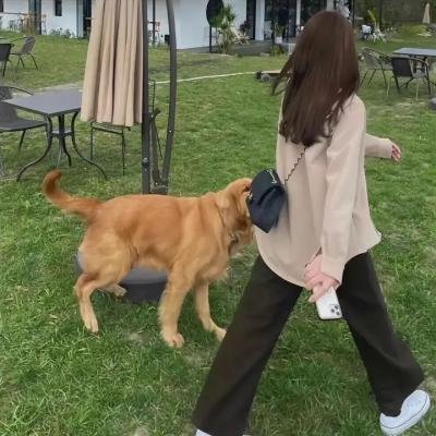 声不在高